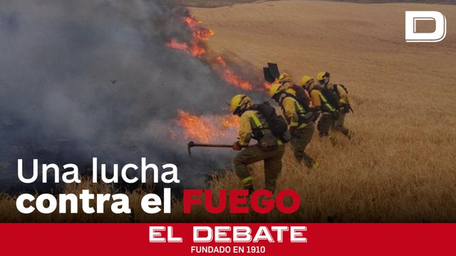 El incendio forestal que ha hecho sonar las alarmas en Cerro del Viso (Madrid)