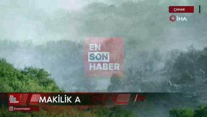 Çanakkale'de yangında arazöz alevlerin arasında kaldı