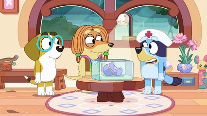 Μπλούι, σεζόν 1, επεισόδιο 40 (Πρόωρο μωρό)