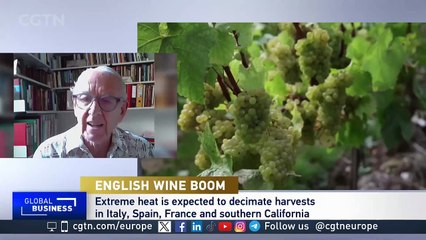 English wine industry has been transformed by rising temperatures