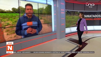 GOLPEADOS Y MANIATADOS
