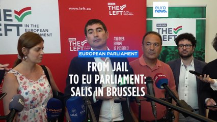 Activist and MEP Ilaria Salis makes first appearance in Brussels following release