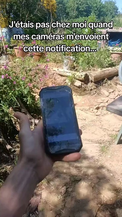 La dernière fois j'étais pas chez moi et j'ai vu ça