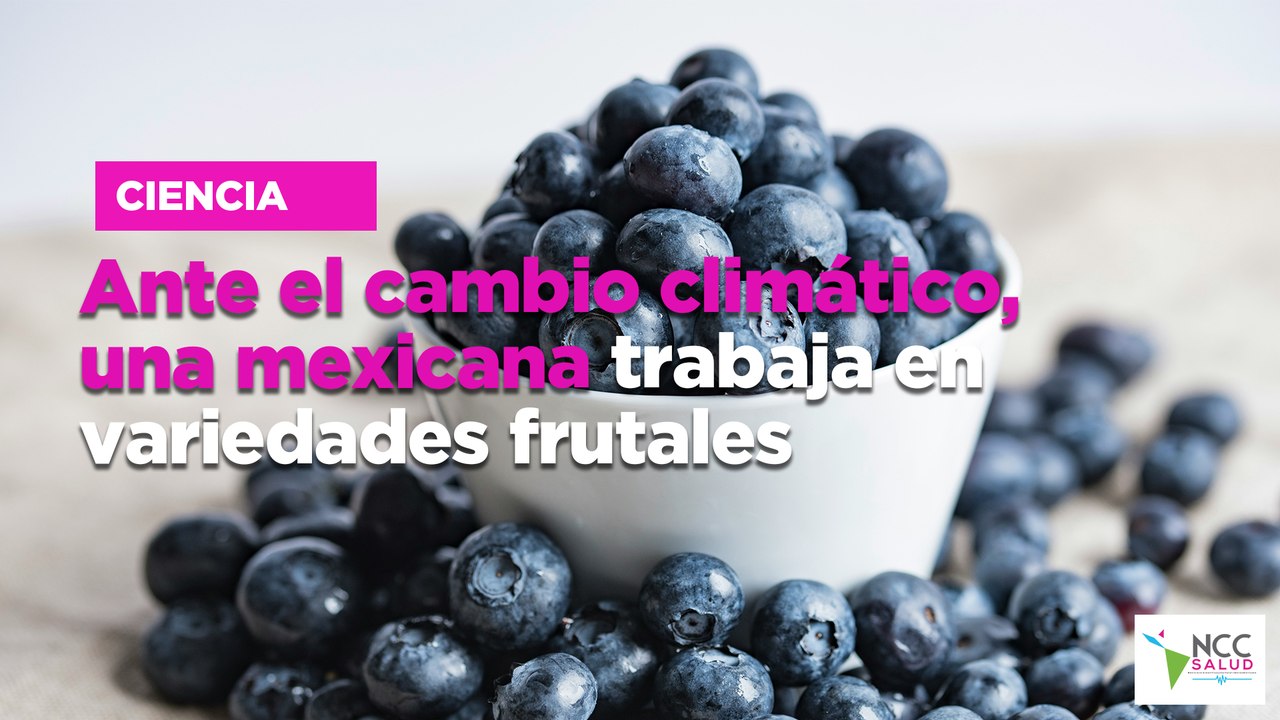 Ante el cambio climático, una mexicana trabaja en variedades frutales