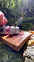 Fish in the Forests!