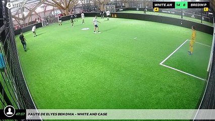 Faute de Elyes B - WHITE AND CASE