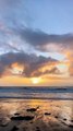 Stunning golden hour sunset. March 22, 2023 @venicebeach @sunset @sunsetsofy_HD