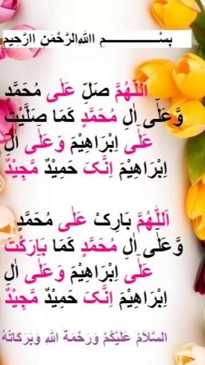 Drood shareef