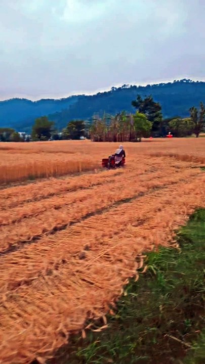 Mini tractor  ♥️ 