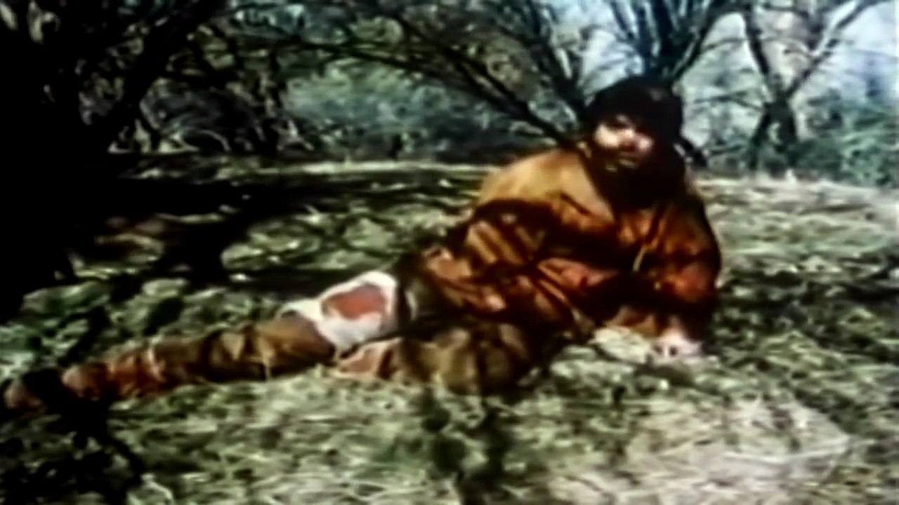 Apache Blood   1975 Western