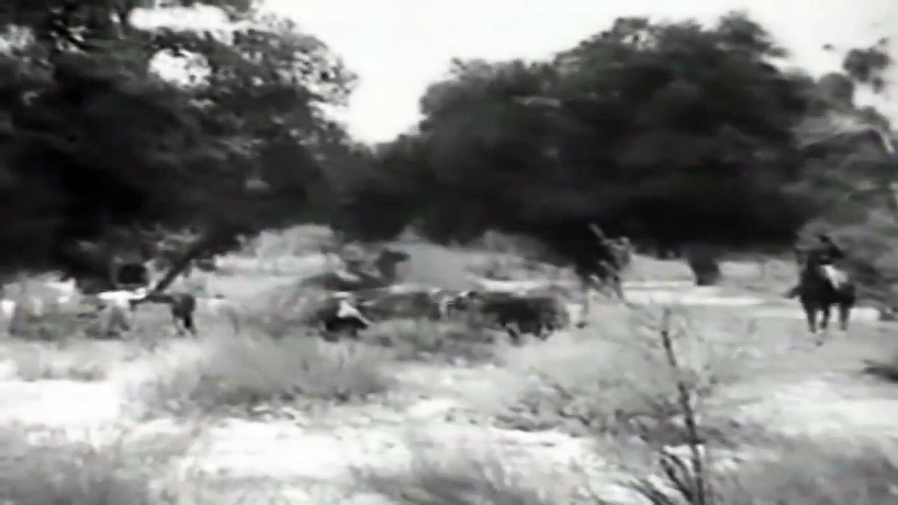 The Cheyenne Kid   Western (1940)   Jack Randall