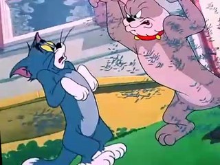 Tom and Jerry Tom and Jerry E060 – Slicked-up Pup
