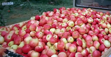 Twirlywoos Twirlywoos S04 E001