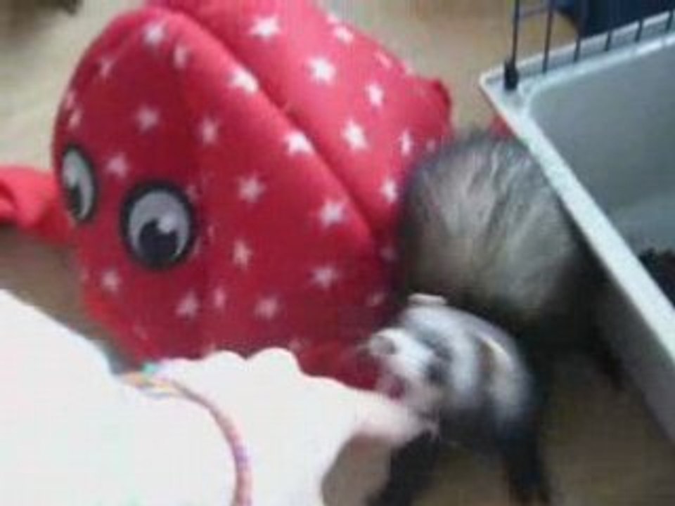 Kiaräh et Kyss