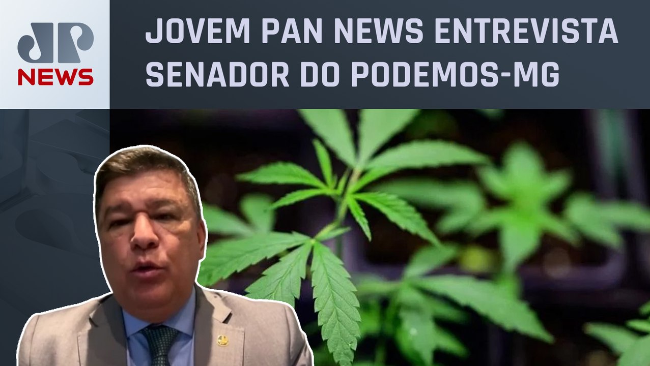 Carlos Viana analisa decisão do STF sobre descriminalização da maconha: “Nós já esperávamos”
