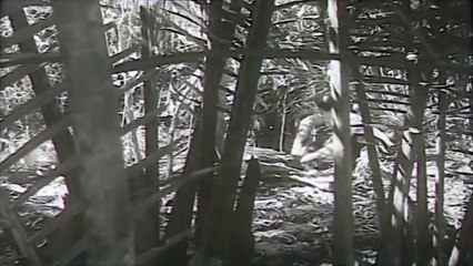 Chuyến Đi Của Mẹ Full HD - Phim Chiến Tranh Việt Nam Hay Nhất