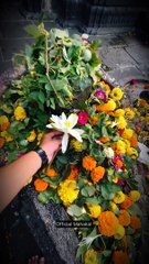 Snapsave.app_-vticFTmsdC0sZ6dUD3hH