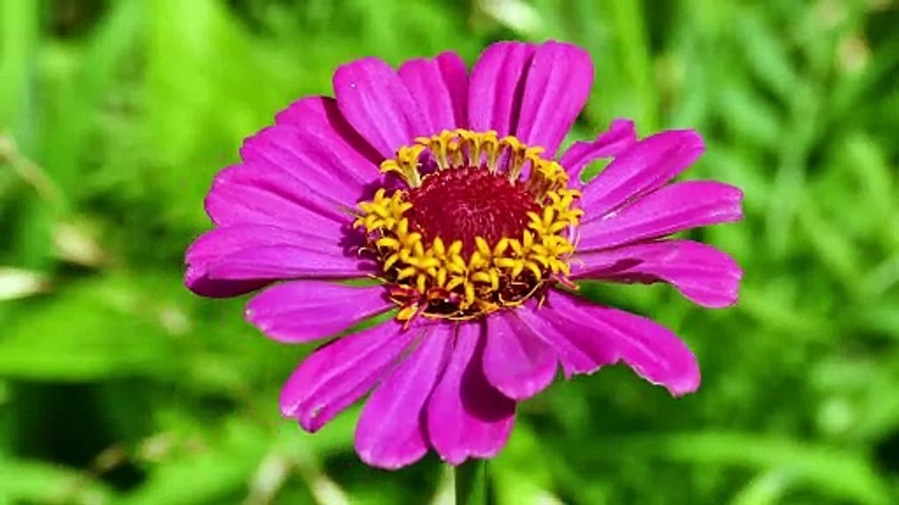 Appreciating your own Divinity