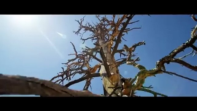 ENTA HABIBI _ Rahim Pardesi ft Natalia Itani ( OFFICIAL SONG ) _ PS Records