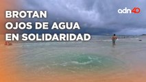 Brotan Ojos de Agua en Solidaridad, Quintana Roo, turistas y locales asombrados