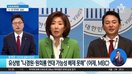나경원·원희룡 연대론 ‘솔솔’…與 전대 변수로 부상