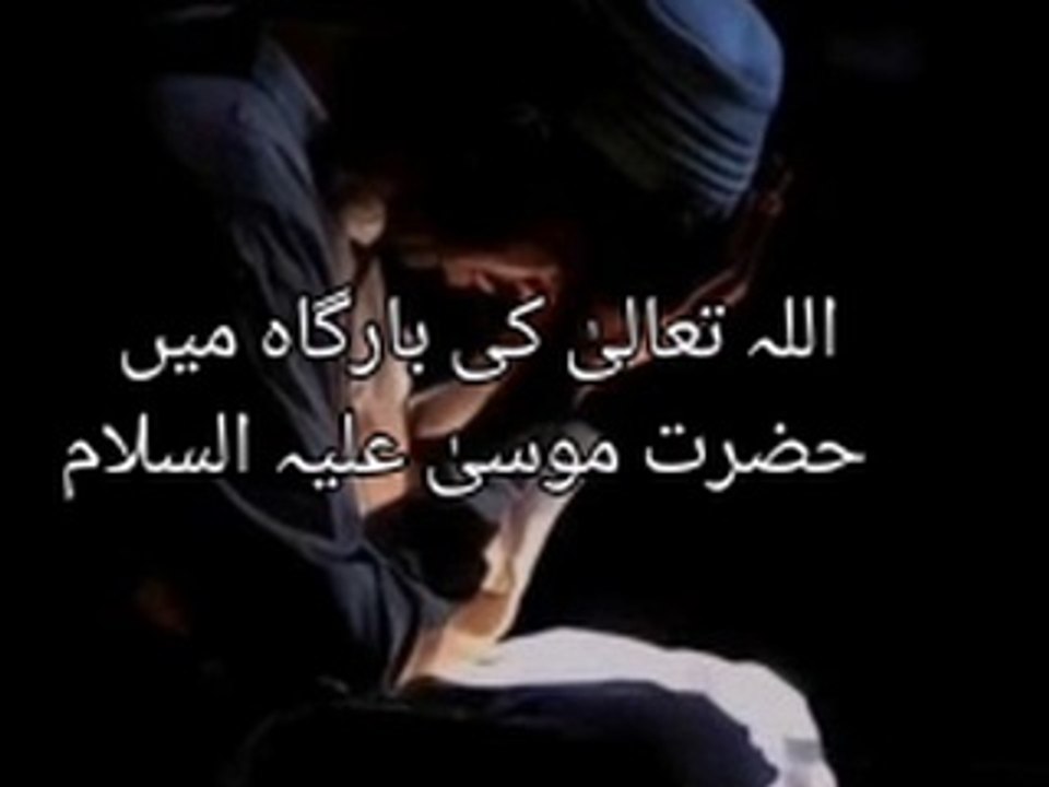 Urdu Islamic Quotes | Urdu Quotes |ShortsVideo | Islamic Quotes ||Ana Fira Islamic Channel | Islamic Whatsapp Status | Ubqari | Viral