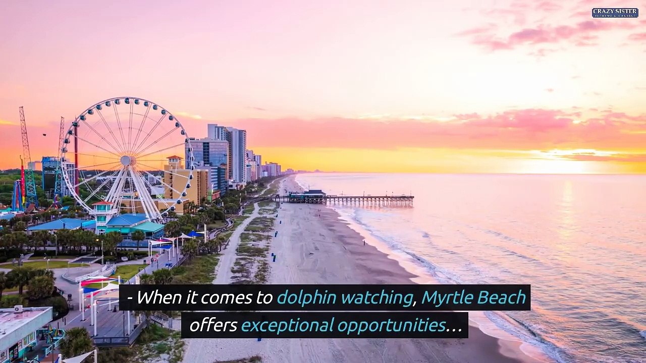 What To Expect On A Sunset Dolphin Cruise In Myrtle Beach