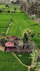 For Rent: Villa Kutri Singapadu Gianyar Bali... Inbox For Price...