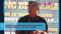 Wow! Bersama dengan Masyarakat, Kodam IV/Diponegoro Berhasil Panen Jagung Seberat 1.500 Ton