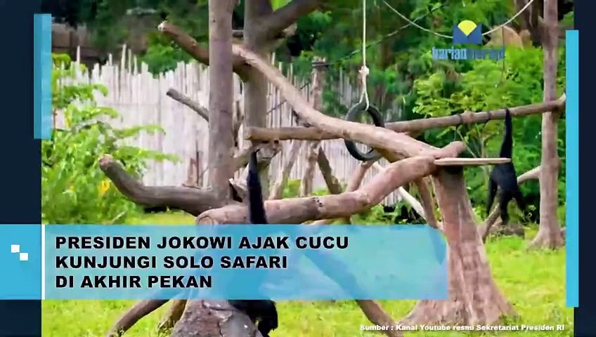 Presiden Jokowi Ajak Cucu Kunjungi Solo Safari