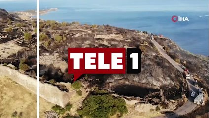 Çanakkale'deki yangın Assos Ören Yeri ve Athena Tapınağı'nı sardı!