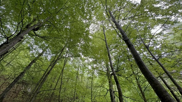 Sıcak havadan bunalanlar Saklıkent Şelalesi’nde serinliyor
