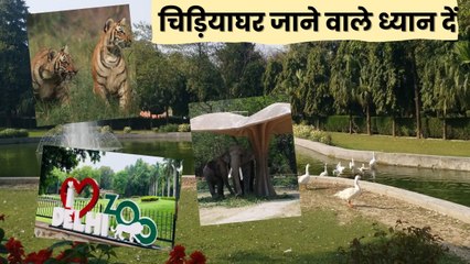 दिल्ली चिड़ियाघर: गर्मी के चलते पर्यटकों के आने-जाने के समय में किया गया बदलाव