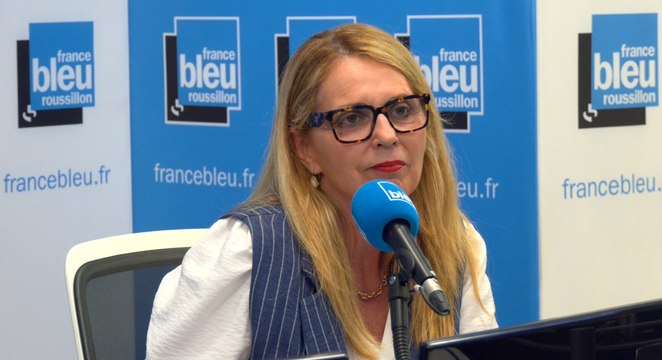 Législatives 2024 : le RN pour davantage de contrôles à la frontière dans les Pyrénées-Orientales