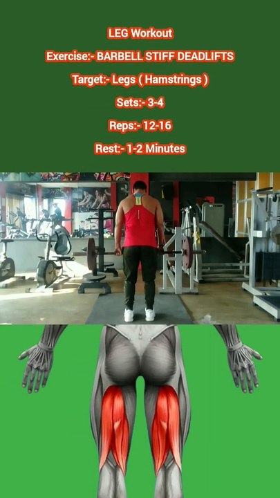 ❌ BARBELL STIFF DEADLIFTS ✔️  How can I get Bigger LEGS?  #heermlgangaputra #naturalbodybuilding #workout #exercise #fitness #gym #muscle #training