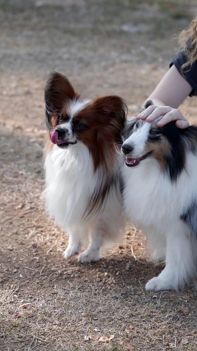 #entertainment #music #love #fun #comedy #instagram #fashion #hiphop #instagood #dance #trending #art #party #news #artist #media