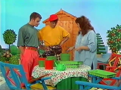 Allsorts arrival of Box