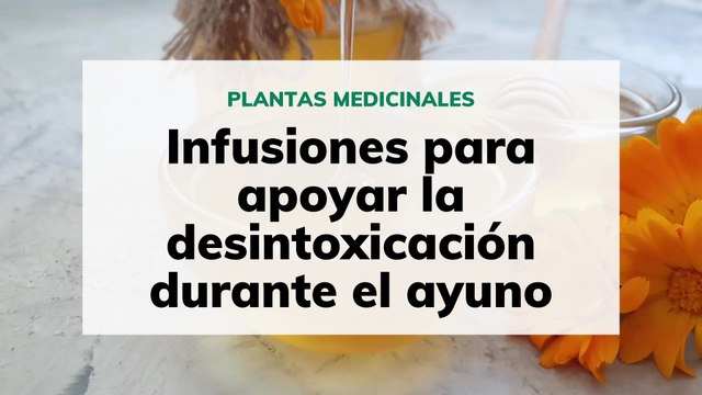Infusiones para apoyar la desintoxicación durante el ayuno