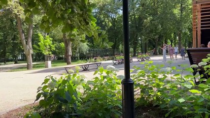 Gazeta Lubuska. Zielona Góra. Zaniepokojeni czytelnicy GL alarmują - W Parku Tysiąclecia leżą dziesiątki padłych pszczół