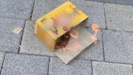 아파트 단지에 불붙인 쓰레기 투척...경찰, 수사 착수 / YTN