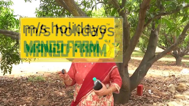 Client Feedback | Mango Farmland for Sale -At M/S Holidays Mango Farms Chennai