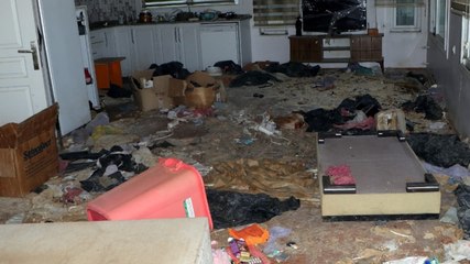 Kiracıdan geriye, kedi ölüleri ve harabe kaldı