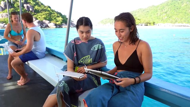 Divers turn conservationists as corals bleach worldwide