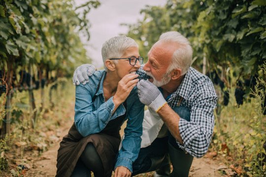 Crece La Propagación De ITS Entre Personas Mayores: ¿Cuál Es El Motivo?