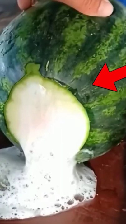 Do Not Eat this Watermelon