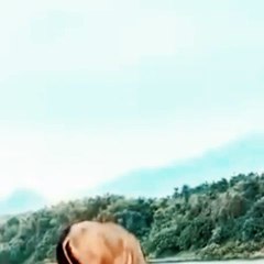 buffalo attack in lion