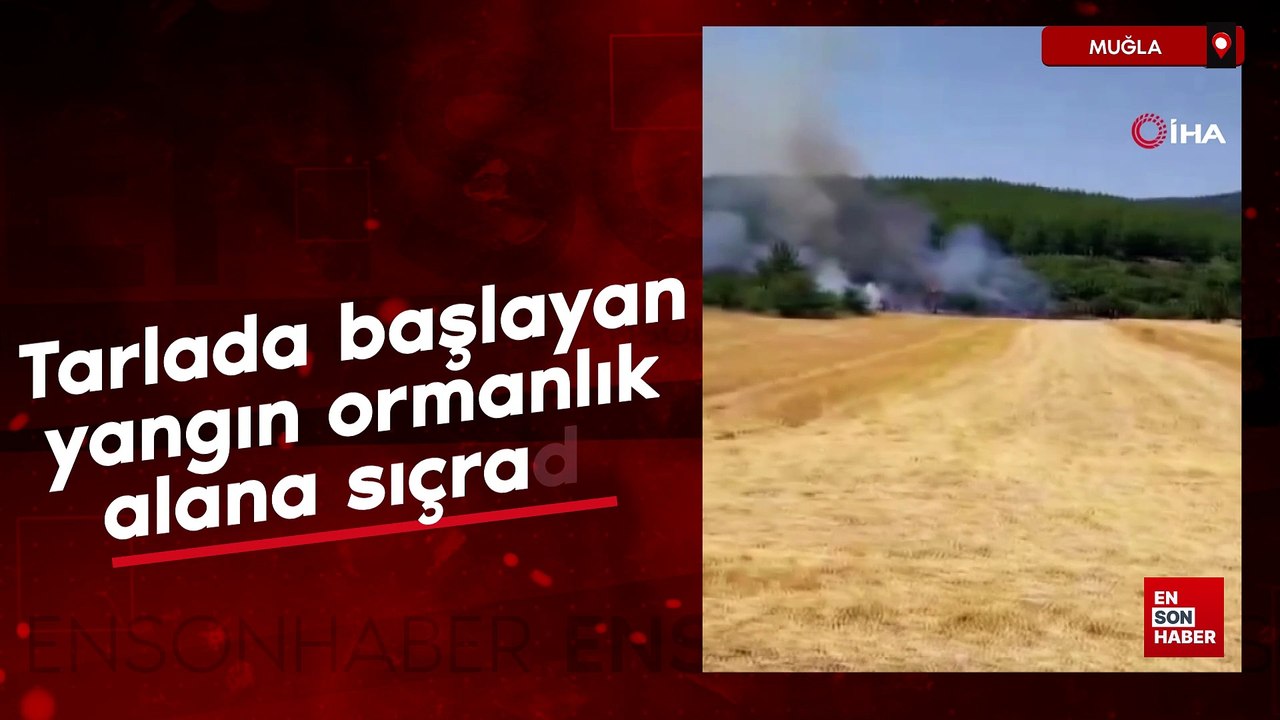 Muğla'da yangın ormanlık alana sıçradı