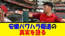 安樂パワハラ報道の真実を語る【反応集】【野球反応集】【なんJ なんG野球反応】【2ch 5ch】