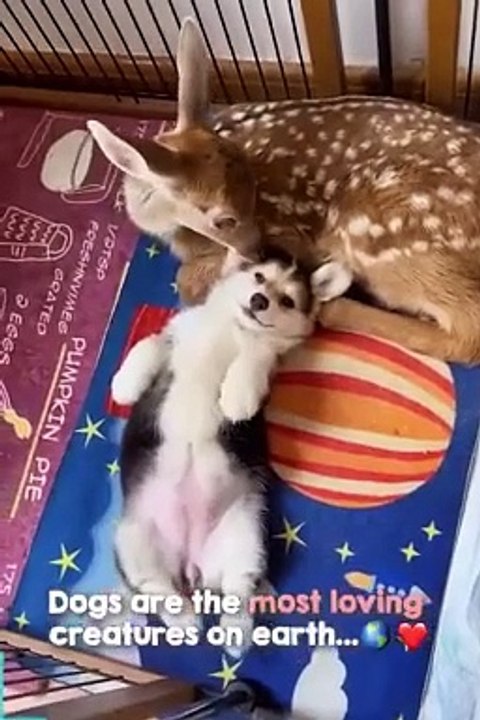 Friendship