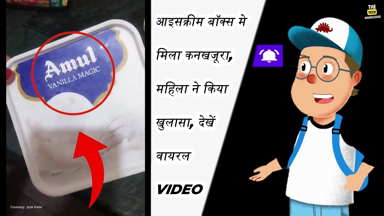 आइसक्रीम बॉक्स में मिला कनखजूरा, महिला ने किया खुलासा, देखें Centipede In Ice Cream viral video